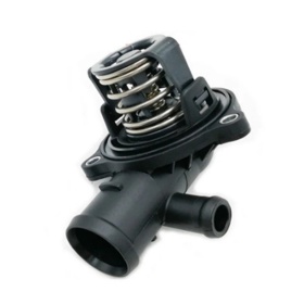 Thermostat in The Car