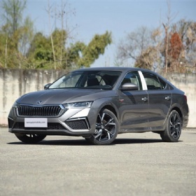 2023 Skoda Mingrui Gasoline Vehicle
