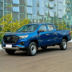 Changan F70 Blue Whale 2WD Pictruck